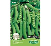 Germisem Ervilha Progress 9 Semi di Piselli 100 g