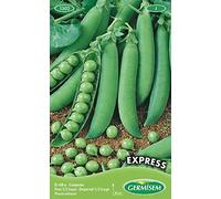 Germisem Express Semi di Piselli 100 g