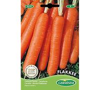 Germisem Flakkee Semi di Carota 10 g