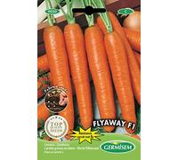 Germisem Flyaway F1 Carota 100 Semi
