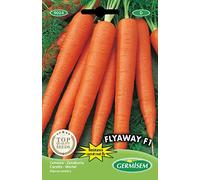 Germisem Flyaway F1 Semi di Carota 1 g