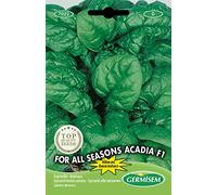 Germisem For All Seasons Acadia F1 Semi di Spinaci 8 g
