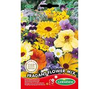 Germisem Fragant Semi di Mix di Fiori 10 g