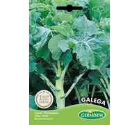 Germisem Galega Semi di Cavolo 5 g