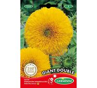 Germisem Giant Double Semi di Girasole 2 g