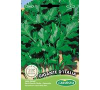 Germisem Gigante D'Italia Semi di Prezzemolo 10 g