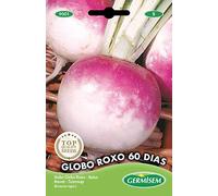 Germisem Globo Roxo 60 Dias Semi di Barbabietola 20 g