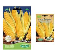 Germisem Golden Bantam Semi di Mais Dolce 10 g & Biologico Golden Bantam Semi di Mais Dolce 7 g