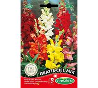 Germisem Gratte-Ciel Mix Semi di Snapdragon 1 g