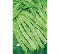 Germisem Helda Semi di Fagiolo Rampicante 100 g
