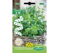 Germisem Herbs Mix Trio Erbe Aromatiche Semi su Nastro da 6 m