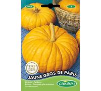 Germisem Jaune Gros de Paris Semi di Zucca 3 g