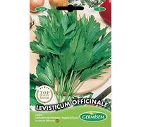 Germisem Levisticum Officinale Semi di Levistico 1 g