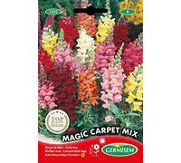 Germisem Magic Carpet Mix Semi di Snapdragon 0.8 g