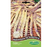 Germisem Maravilha de Piemonte Semi di Fagioli Francesi 100 g