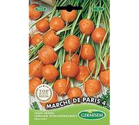 Germisem Marché de Paris 4 Semi di Carota 3 g