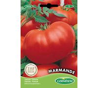 Germisem Marmande Semi di Pomodoro 2 g
