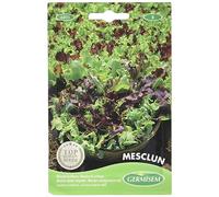 Germisem Mesclun Semi di Insalata Mix 4 g