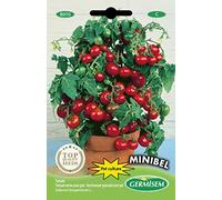 Germisem Minibel Semi di Pomodoro 0.5 g