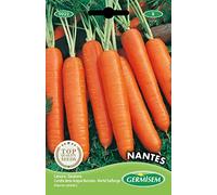 Germisem Nantes Semi di Carota 10 g