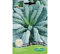 Germisem Nero di Toscana Semi di Cavolo 5 g