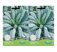 Germisem Nero di Toscana Semi di Cavolo 5 g (Confezione da 2)