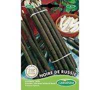 Germisem Noire de Russie Semi di Salsify 5 g