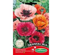 Germisem Oriental Mix Semi di Papavero 0.25 g