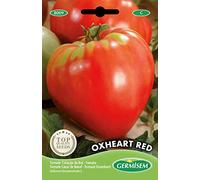 Germisem Oxheart Red Semi di Pomodoro 2 g