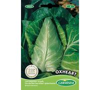 Germisem Oxheart Semi di Cavolo 3 g