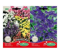 Germisem Pacific Mix Semi di Statice 0.5 g & Deep Blue Semi di Statice 0.5 g