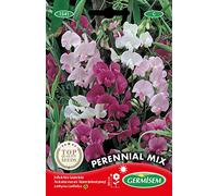 Germisem Perennial Mix Semi di Pisello Dolce 1 g