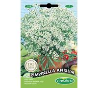 Germisem Pimpinella Anisum Semi 2 g