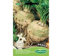 Germisem Praga Semi di Sedano 1 g