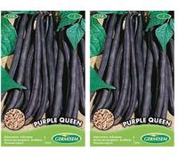 Germisem Purple Queen Semi di Fagioli Francesi 100 g (Confezione da 2)