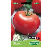 Germisem Pyros F1 Semi di Pomodoro 0.1 g