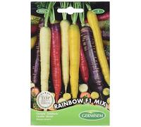 Germisem Rainbow F1 Mix Semi di Carota 1 g