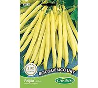 Germisem Rocquencourt Semi di Fagioli Francesi 100 g