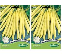 Germisem Rocquencourt Semi di Fagioli Francesi 100 g (Confezione da 2)