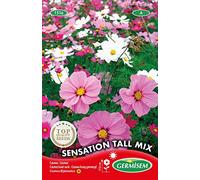 Germisem Sensation Tall Mix Semi di Cosmos 2 g