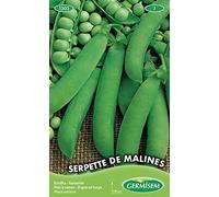 Germisem Serpette de Malines Semi di Piselli 100 g