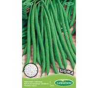 Germisem Sigma Semi di Fagioli Francesi 100 g