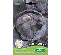 Germisem Tête Noire 3 Semi di Cavolo Rosso 3 g