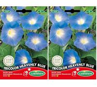 Germisem Tricolor Heavenly Blue Semi di Verricello Imbuto 4 g (Confezione da 2)