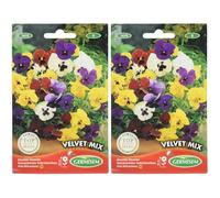 Germisem Velvet Mix Semi di Viola del Pensiero 0.5 g (Confezione da 2)