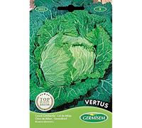 Germisem Vertus Semi di Cavolo Savoia 3 g