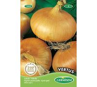 Germisem Vertus Semi di Cipolla 4 g