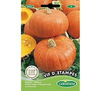 Germisem Vif D 'Etampes Semi di Zucca 3 g