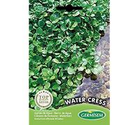 Germisem Water Cress Semi 1 g