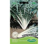 Germisem White Giant Semi 4 g